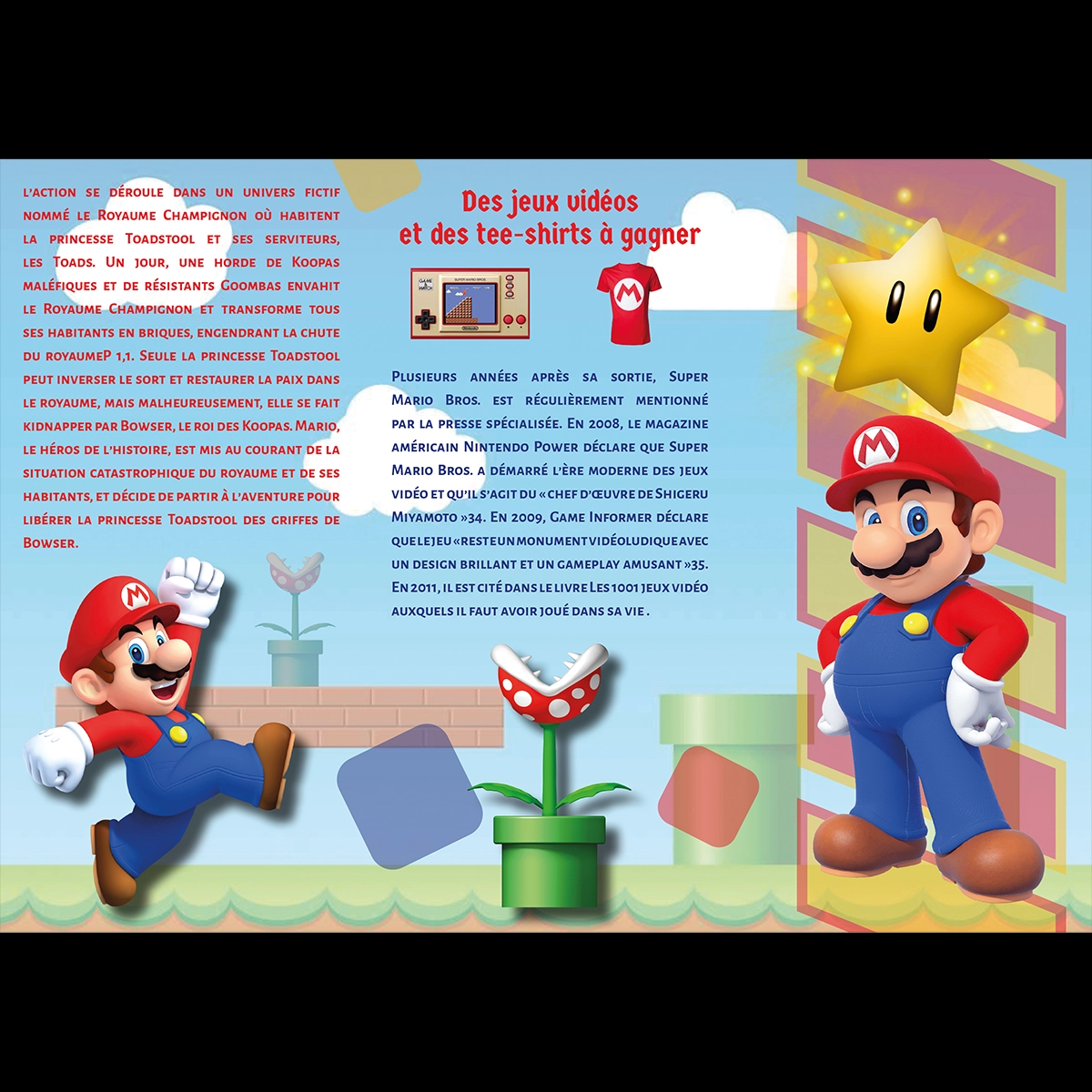 Brochure pour un séjour Super Mario Bross interieur