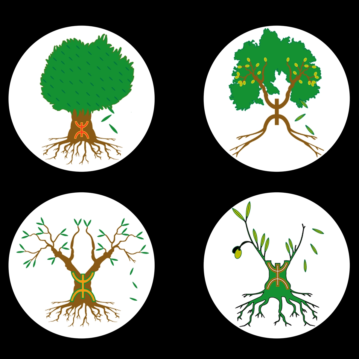 Création d'un logo pour la société Le B3 spécialiste d'olives