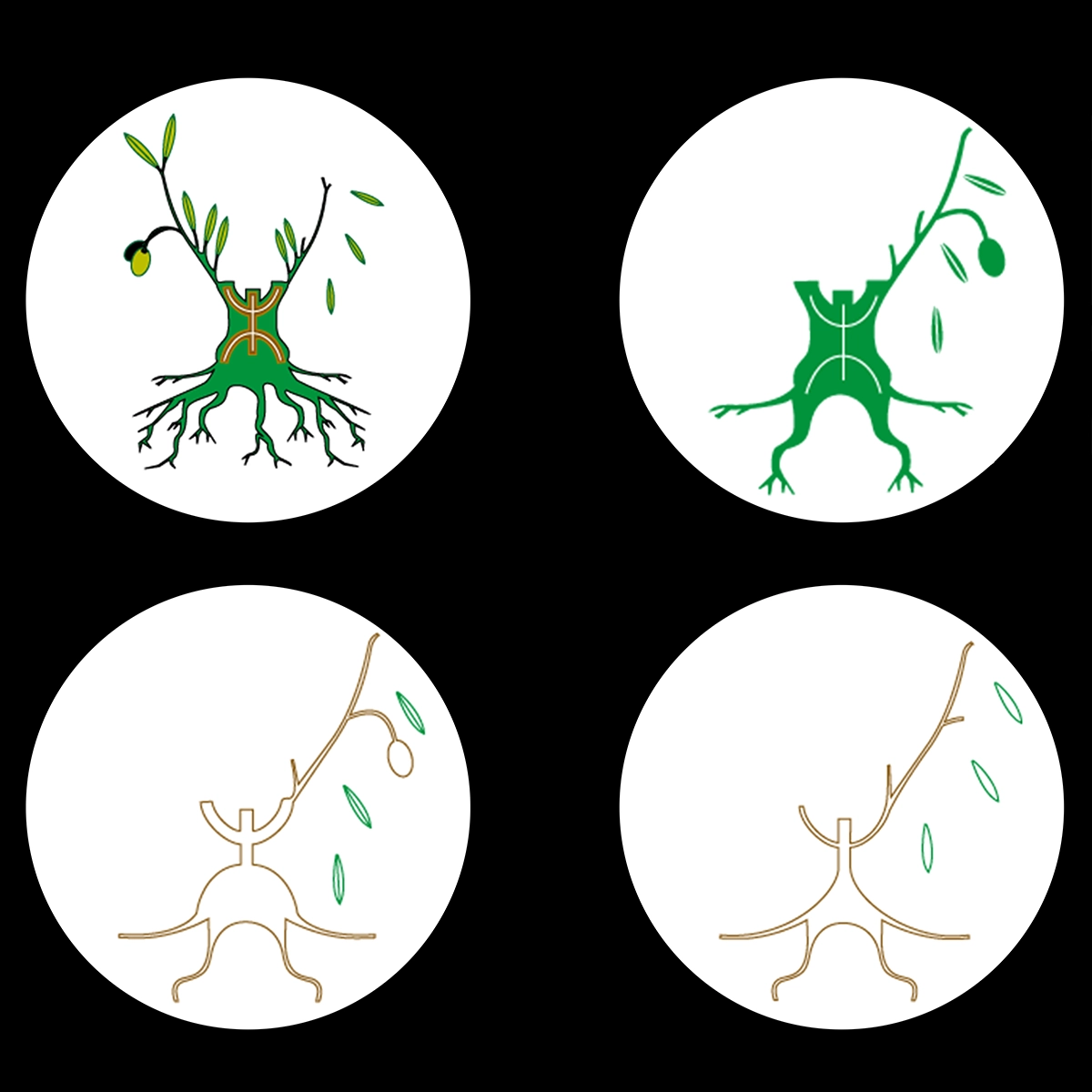 Création d'un logo pour la société Le B3 spécialiste d'olives